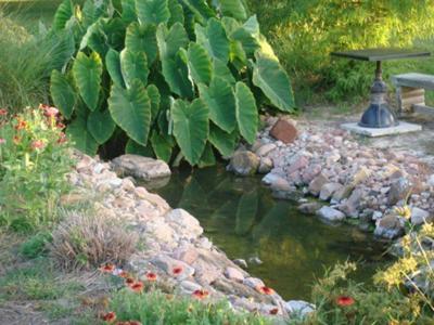 Messina Hof Winery And Resort (Adults Only) براين المظهر الخارجي الصورة